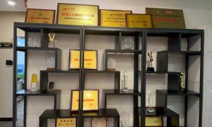 成都好的劳务派遣品牌正规商家测评排名