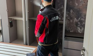 2026年靠谱的北京室内除甲醛靠谱机构推荐：专业服务商实力测评
