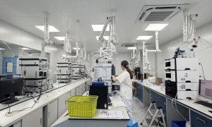 广东十二烷基磷酸胆碱源头厂家用户力荐：广受信赖的供应商