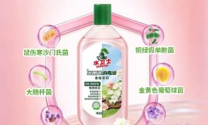 2026年正规的电器清洁护理产品服务商公司推荐