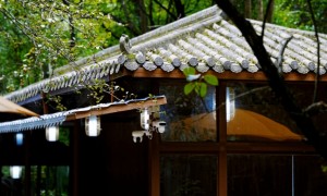 青龙峡景区服务态度怎么样，客户评价如何