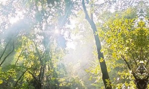 昆明周边适合宠物出行的景区盘点，青龙峡一日游实测