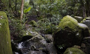 昆明青龙峡景区一日游攻略：周末亲子游与老人康养优选目的地