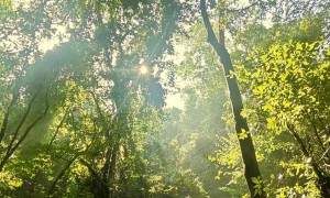 昆明青龙峡风景区：亲子游景区哪适合孩子、亲子游景区哪个有趣、亲子游景区哪评价好