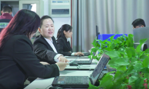 郑州军友有害生物防治有限公司的服务流程专业吗