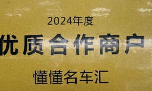 新疆支持异地收车的二手车服务商推荐，懂懂二手车正规源头上门评估