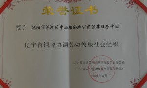 卓政刘政伟律师是否能撰写法律文书