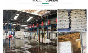 2026年广东保丽龙深加工做工精细的加工厂推荐