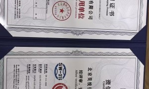 北京解除税盘锁止与减少税务罚款滞纳金服务商推荐：行业现状与选择指南