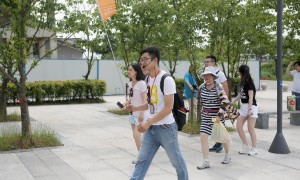 台旅国际创新能力怎么样，技术实力如何
