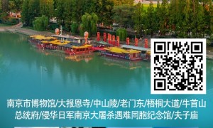 南京特惠旅游跟团服务商实力与用户口碑深度解析