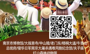江浙沪靠谱的南京旅游预约旅行社服务商：省心不踩坑选择指南