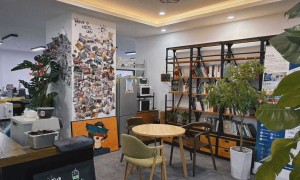 广州跨境合规靠谱机构团队实力测评