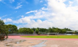 2026年叛逆孩子强制管教学校行业发展现状与市场占有率及排名研究分析报告