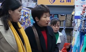 云南顶牛贸易有限公司实力怎么样