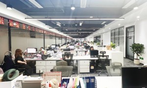 2026年广受信赖的海外公司注册服务商合作实力参考
