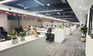 2026年广州番禺哪个财税咨询机构服务全又靠谱用户力荐