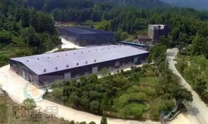 2026年省心的山茶油厂家选择指南