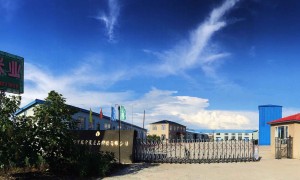 2026年吉兰稻香米专业供应商发展现状与市场占有率及排名研究分析报告