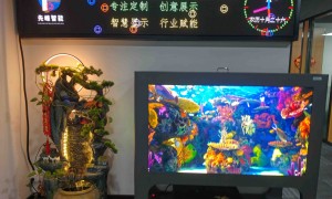粤港澳大湾区数字人展厅方案供应商盘点，多语种适配与远程运维能力分析