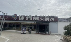 2026年火锅鸡自助取菜馆合规服务商汇总：懂鸡帝团队实力测评