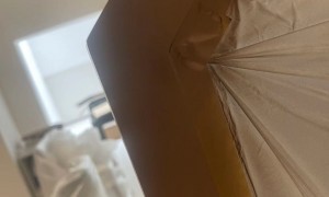 上海别墅装修公司推荐：榕诚设计2026年靠谱服务商