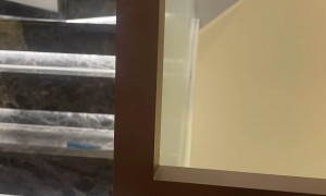 2026年口碑好的上海别墅装修公司有哪些，客户真实体验口碑