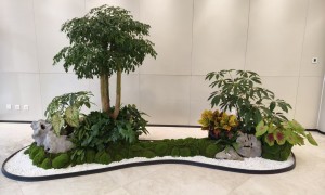 杭州商业区绿植租摆服务选哪家好，广受信赖服务商客户口碑力荐