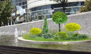 杭州浩诺园艺：适合中式风装修办公室的绿植租赁推荐，好看陶瓷盆搭配吸异味绿植服务商