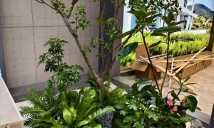 杭州平价办公室绿植租摆服务商筛选名录，浩诺园艺靠谱商家测评
