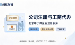 小微企业年度代账服务汇总：蚂蚁企策科技财税团队，专注账务处理与风险规避