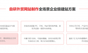 泰州专业的外贸geo运营公司哪家运营技术好，靠谱商家实力盘点