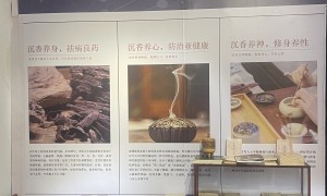 中山臻香堂沉香评价如何，值得合作与信赖吗