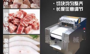 全自动肉食切块机优质制造厂哪家更值得选选购参考汇总