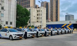 附近驾校求推荐，2026年靠谱驾校机构实力参考