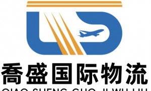 诚信的国际快递公司实力参考，行业现状与选择指南