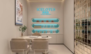 2026年轻资产皮肤管理店加盟低投入高回报靠谱服务商实力参考