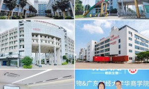 广州白云区优质的妆字号械字号代加工生产厂家实力参考