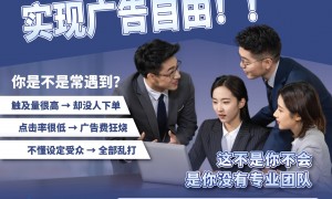 海外广告代投放服务商哪家专业 多米互动省心之选