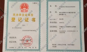 2026年成人高考助学机构综合实力与用户口碑深度解析