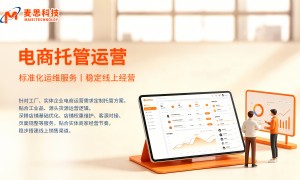 2026年拔尖的工厂电商平台代运营服务商用户力荐