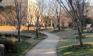 上海金山振安驾校增驾服务推荐，正规机构省心选择