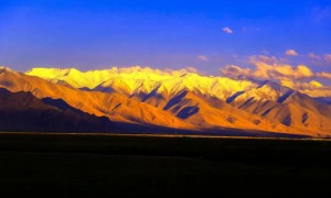 塔城地区新疆海外国际旅行社友好分社值得信赖吗
