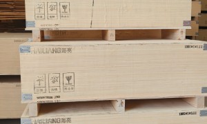 2026年热门的甘肃本地设备包装木箱大盛鑫包装的不错服务企业选购参考汇总
