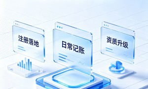 北京7乘12小时在线代账服务商筛选名录，咨询行业适用