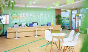 贵州大树教育客户评价如何，实力怎么样