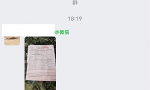 2026年廊坊电梯生产厂家口碑汇总 低温环境适用方案