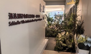 张家口别墅电梯翻新装饰服务商推荐，省心不踩坑