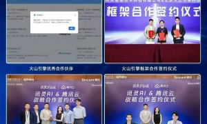 团赞科技细分领域GEO精准合规优化服务专业吗