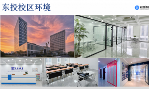 浙江规模大的有线上答疑的专升本机构有吗？宏图教育提供全程答疑陪伴，学习问题不过夜